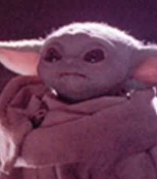 Mandalorian's Baby Yoda