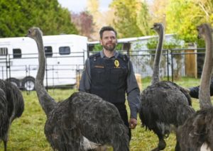 animal-control-joel-mchale-fox