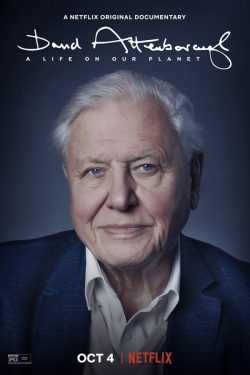 Attenborough Life on our Planet poster