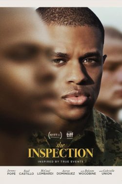 the-inspection-poster