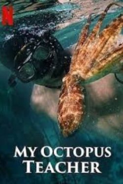 c. Octopus Poster Netflix